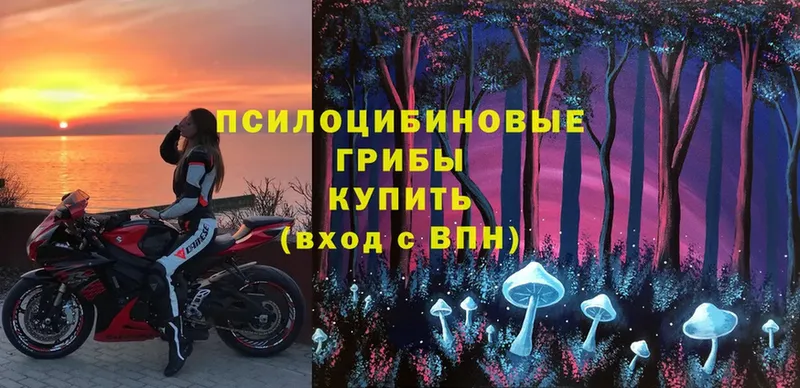 блэк спрут онион  где купить   Задонск  Псилоцибиновые грибы Magic Shrooms 